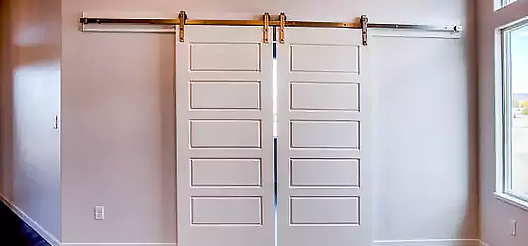 Glass Barn Door with Installation Hardware Kit Coral Gables